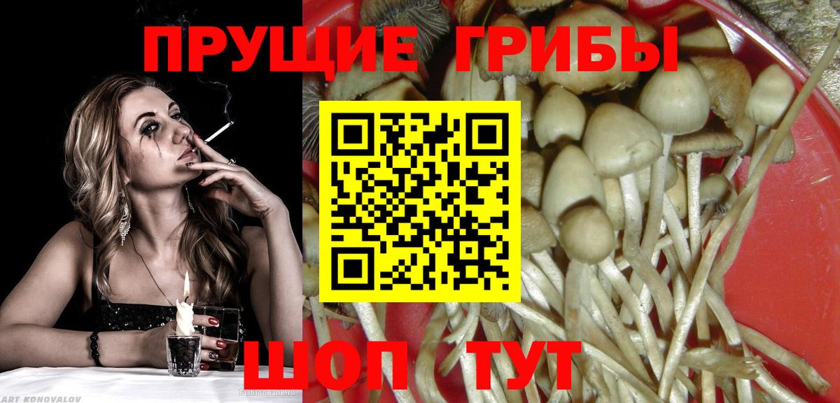 Галлюциногенные грибы мицелий Казань
